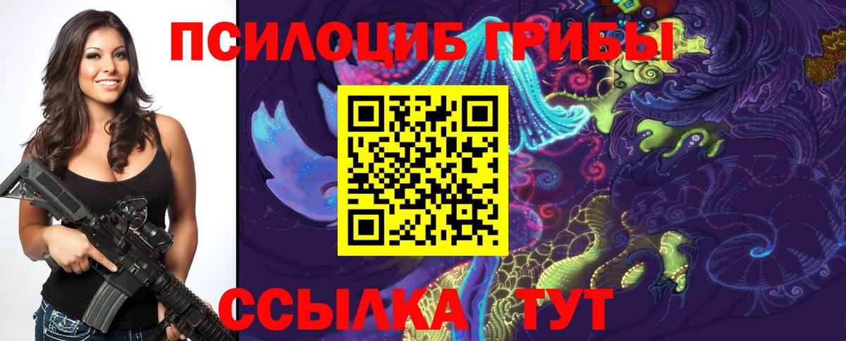Псилоцибиновые грибы GOLDEN TEACHER Гусев