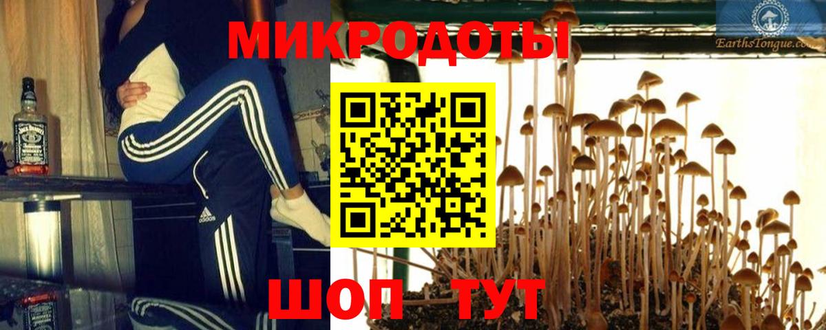 Галлюциногенные грибы Psilocybe  Вход с VPN  Гусев 